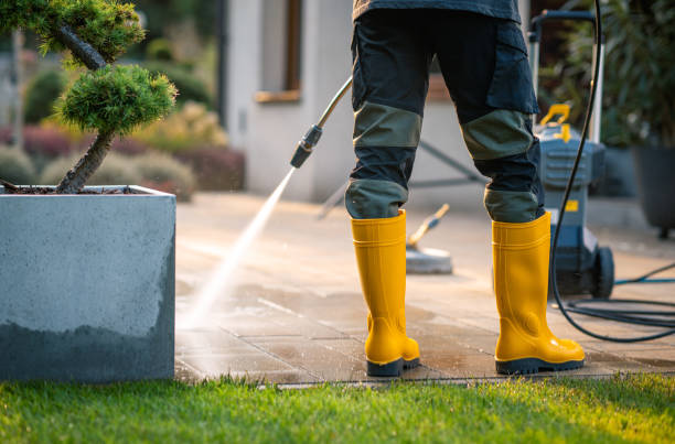 Best Roof Pressure Washing  in Clarksville, TX